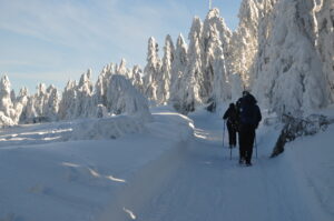 Bukowina Miejska - Turbacz