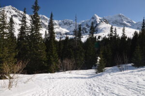 Widok na Tatry Wysokie w Hali Gąsienicowej